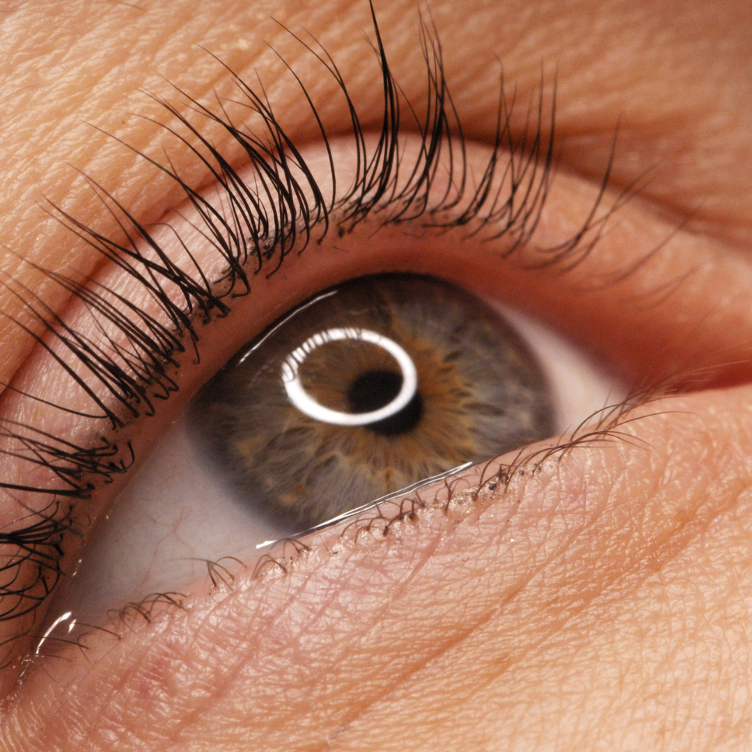 Expertise regard : Lash artist